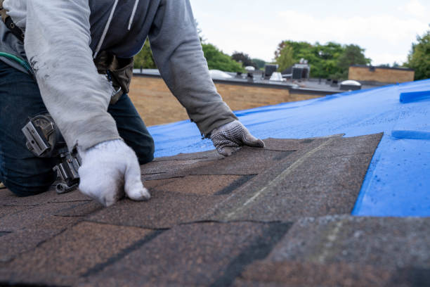 Best Residential Roofing Contractor  in Bristol, WI