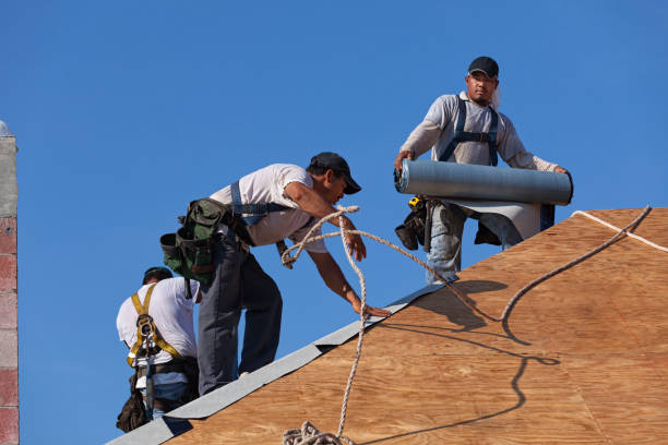 Best Shingle Roofing Installation  in Bristol, WI